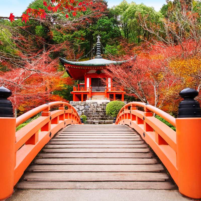 Kyoto, Daigoji-tempel