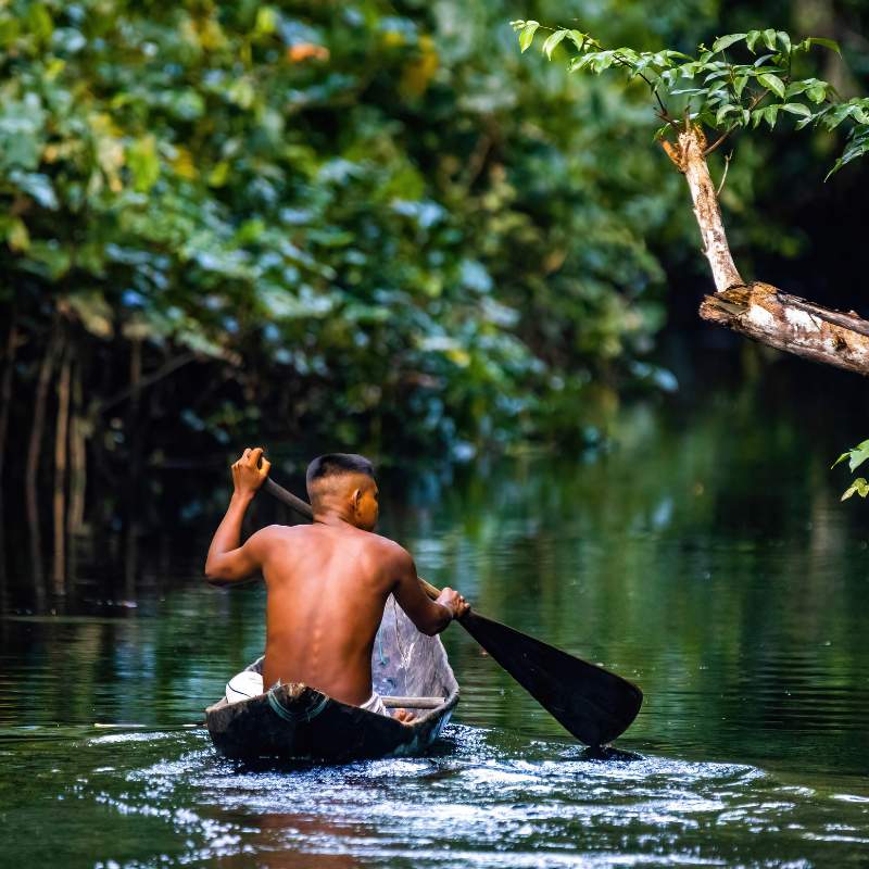 Kajakken in het Amazone regenwoud