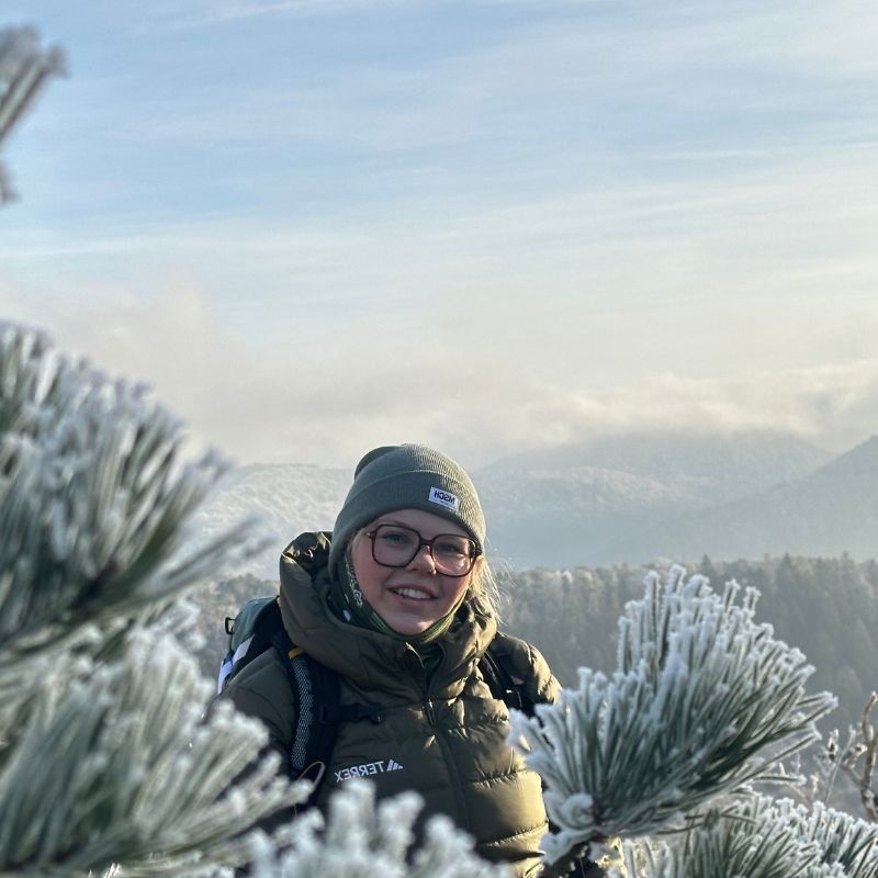 Image for choice number 1